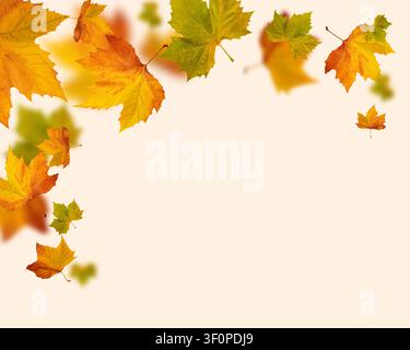 Ahornblätter im Herbst rahmen auf beigem Hintergrund Herbstlaubrand Stockfoto
