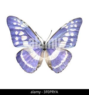Aquarellillustration des Morpho-cypris-Schmetterlings mit offenen Flügeln. Handgemalter violetter Schmetterling. Ideal für Briefpapier, Branding, Einladungen Stockfoto