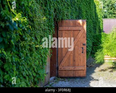 Holztor im Garten teilweise geöffnet in einer mit Efeu bedeckten Mauer, das einen sonnenbeschienenen Kopfsteinpflasterweg freigibt Stockfoto