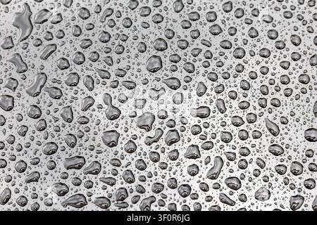 Wassertropfen auf reflektierender grauer Oberfläche. Nahaufnahme von Wassertropfen, die sich über eine glatte reflektierende graue Oberfläche perlen und ein abstraktes Nass erzeugen Stockfoto