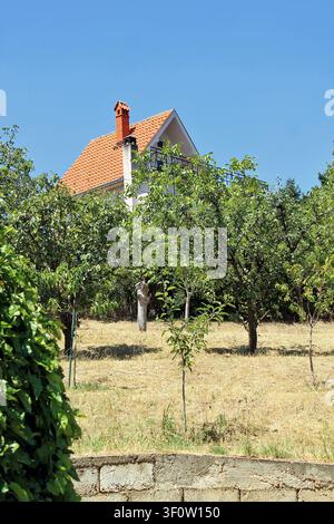 Renoviertes Landhaus mit roten Ziegeln auf einem Hügel zwischen Pflaumenbäumen in der Nähe von Belgrad (Serbien) Stockfoto