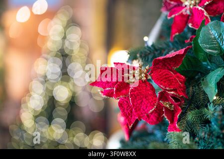 Weihnachtsrote Blumendeko auf Baum mit Lichtbokeh im Hintergrund. Stockfoto