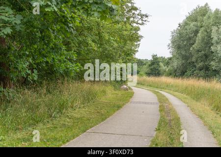 Ein ruhiger gepflasterter Pfad windet sich durch hohes Gras und dichtes grünes Gehölz. Der friedliche Weg bietet eine malerische Umgebung für Spaziergänge und Radtouren. Stockfoto