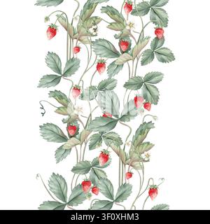 Nahtloser vertikaler Rand oder Banner mit wilden Erdbeeren und weißer Blume. Handgezeichnete Aquarellillustration auf weißem isoliertem Hintergrund. Blumenmuster Stockfoto