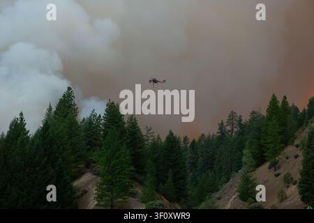 Ein Hubschrauber fliegt über einen aktiven Abschnitt des McFarland-Feuers im Shasta-Trinity-Nationalforst in Kalifornien am 2. August 2021. Stockfoto