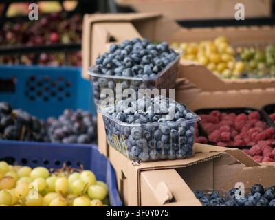 Frische Blaubeeren in transparenten Plastikschalen auf Kartons auf einem Markt. Verschiedene Bio-Beeren in Behältern zum Verkauf. Gesundes Sommeressen Stockfoto