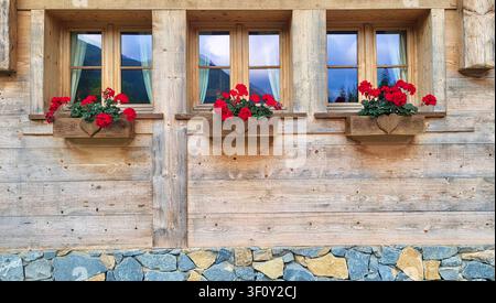 Nahaufnahme einer rustikalen Holzhaustür mit kleinem Fenster und roten Geranien in Châtel, Frankreich Stockfoto