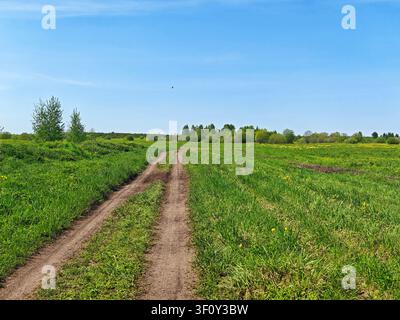 Ein Feldweg führt an einem hellen Tag auf dem Land durch grüne Felder und lädt Reisende zu einer Reise in die Natur ein. Stockfoto