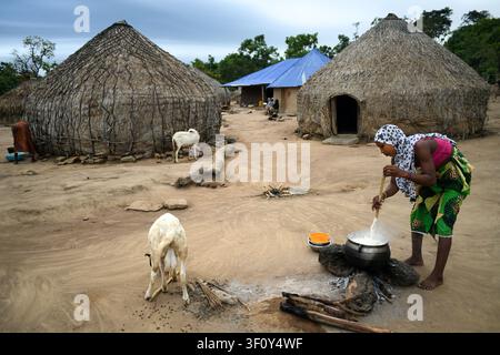 Eine Fulani-Frau kocht eine traditionelle Mahlzeit außerhalb runder Strohhütten in einem Weidedorf nahe Natitingou, Atacora-Department, Benin. Alltagsleben u Stockfoto