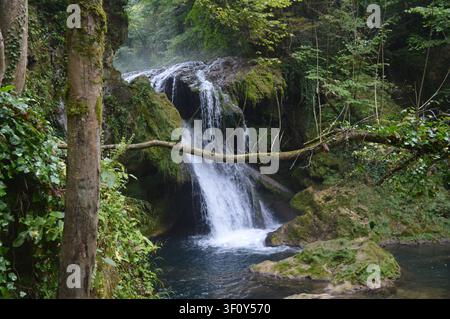 Ein mächtiger Wasserfall stürzt über moosige Felsen in ein dunkles Becken, versteckt in einer üppigen, grünen Waldschlucht. Stockfoto