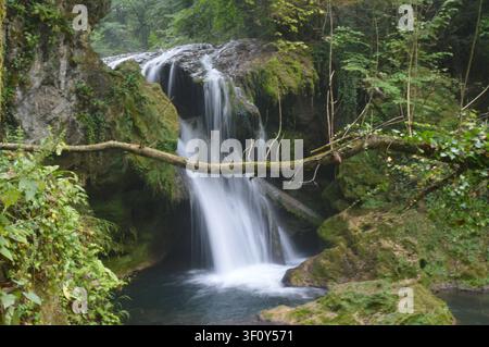 Ein mächtiger Wasserfall stürzt über moosige Felsen in ein dunkles Becken, versteckt in einer üppigen, grünen Waldschlucht. Stockfoto