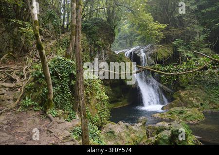 Ein mächtiger Wasserfall stürzt über moosige Felsen in ein dunkles Becken, versteckt in einer üppigen, grünen Waldschlucht. Stockfoto