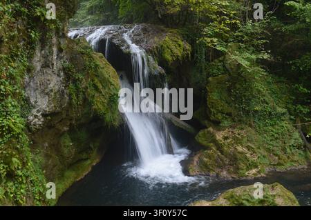 Ein mächtiger Wasserfall stürzt über moosige Felsen in ein dunkles Becken, versteckt in einer üppigen, grünen Waldschlucht. Stockfoto