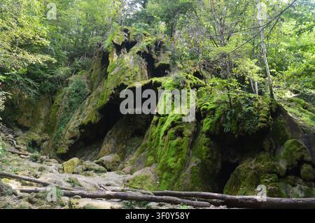 Eine kleine hölzerne Brettbrücke liegt in einer schattigen, moosbedeckten felsigen Schlucht, umgeben von einem dichten, laubgrünen Wald. Stockfoto