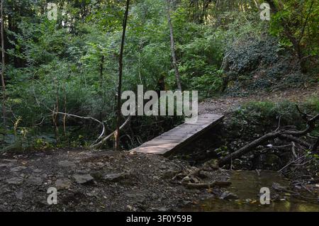 Eine einfache hölzerne Brettbrücke überquert einen ruhigen Bach entlang eines schattigen Feldweges in einem üppigen grünen Wald. Stockfoto