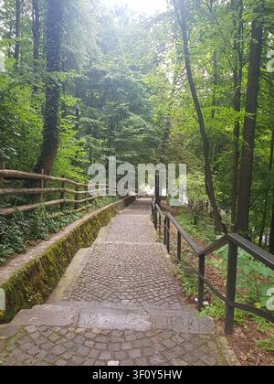 Ein malerischer Kopfsteinpflasterweg windet sich durch einen üppigen grünen Wald, gesäumt von rustikalen Holzzäunen und Handläufen in einem friedlichen Park. Stockfoto
