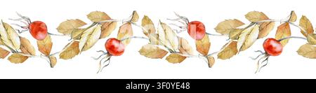 Horizontale nahtlose Bordüre mit handgezeichneten Aquarell-Hagebuttenzweig-Elementen mit reifen roten Beeren und Herbstblättern auf weißem Hintergrund. Botanisch Stockfoto