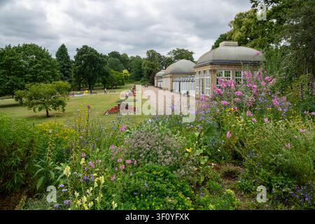 Botanische Gärten von Sheffield im Hochsommer, South Yorkshire, England. Blumenbeete vor den historischen Glashäusern. Stockfoto