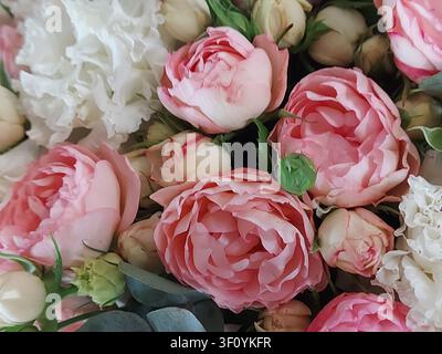 Weiche rosa Pfingstrosen, weiße Nelken, cremefarbene Sprayrosen und Eukalyptus in einem romantischen Blumenstrauß. Nahaufnahme von frischen blühenden Blumen mit zarten Blütenblättern, Pastellfarben, natürlichem Licht, eleganter Hochzeits- oder Frühlingsblumenhintergrund. Stockfoto