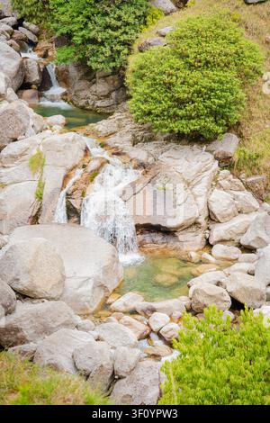 Ein kleiner Bergbach stürzt über felsiges Gelände in ein klares Becken am Kareri-See in Himachal Pradesh, Indien. Stockfoto