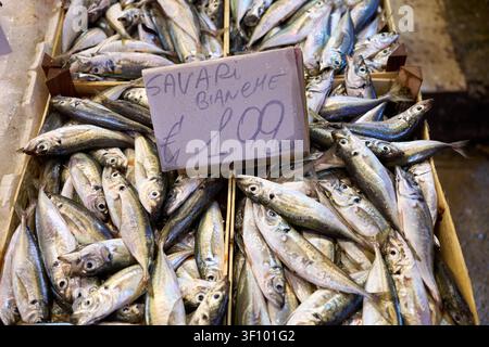 Frische Savari-Bianche-Fische im Angebot auf dem Straßenmarkt in Palermo, Sizilien Stockfoto