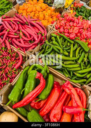 Lebendige Ansicht von oben verschiedener roter, grüner und orangefarbener Chilischoten auf einem lokalen Markt. Stockfoto