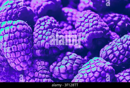 Nahaufnahme einer Himbeere mit einem lila-blauen künstlerischen Farbton, ein enger Top-Down-Winkel, ausgeprägte Textur. Stockfoto