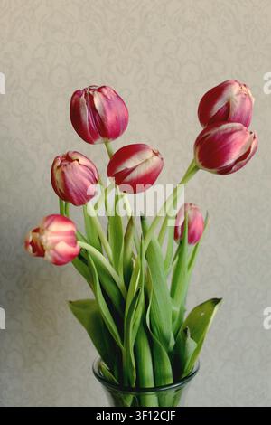 Tulpen Stockfoto