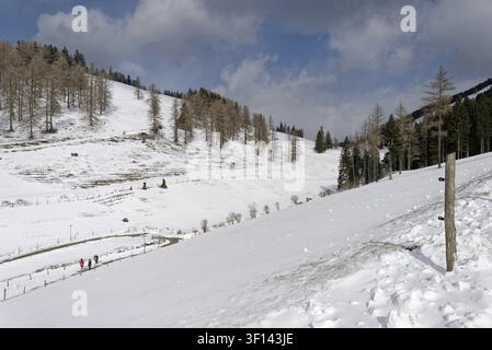 Eine alpine schneebedeckte Landschaft mit einigen Lärchen und Almwiesen Stockfoto
