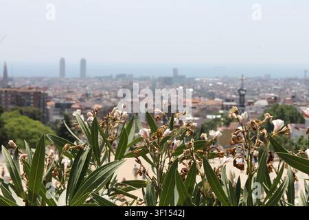 Die Skyline von Barcelona aus dem Parc Guell Stockfoto