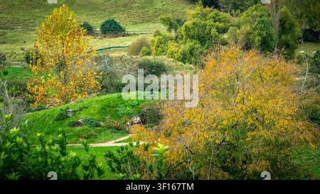 Panoramische Ansicht des ikonischen Hobbiton-Filmsets, das in den sanften grünen Hügeln von Matamata, Neuseeland, eingebettet ist und ein charmantes Hobbit-Haus zeigt. Stockfoto