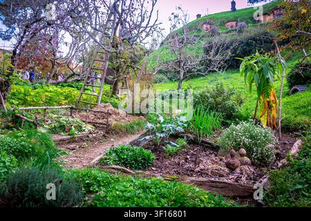 Üppiger Gemüse- und Kräutergarten mit einer rustikalen Holzleiter vor grünen Hügelhobbitlöchern am Filmset von Hobbiton. Stockfoto