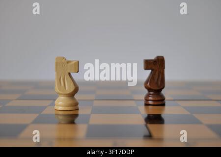 Weiße und schwarze Schachfiguren, die sich gegenüberstehen Stockfoto