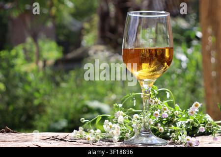 Menschen genießen ein Getränk aus einem Glas, das mit gelber Flüssigkeit gefüllt ist, in einem Garten an einem sonnigen Tag Stockfoto