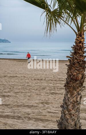 Eine Frau in einem roten Hemd geht am Sandstrand in Benicassim, Spanien, mit einer Palme im Vordergrund und einem ruhigen Meer im Hintergrund. Stockfoto