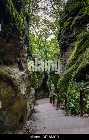 Schöner moosiger Felsschluchtpfad im Nationalpark Sächsische Schweiz in Deutschland, mysteriöse wilde Waldschlucht mit Touristensteiganlage nahe der Bastei-Klippe Stockfoto