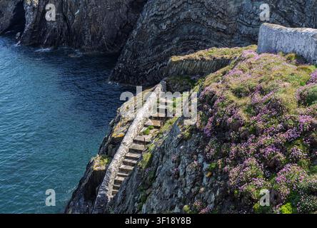 Steinstufen auf der Klippe am South Stacks Lighthouse, die ursprünglich zum Zugang zum Dock für Lieferungen in Holyhead, Anglesey, genutzt wurden. Stockfoto