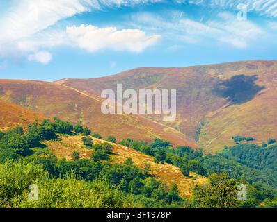 karpaten-Berglandschaft. Reisen Sie im Sommer in die ukraine. Farbenfrohe Hänge des Borzhava Berges im august. Wunderbares karpaten-Abenteuer Stockfoto