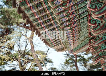 Nahaufnahme von farbenfrohen traditionellen Dancheong-Mustern an den Dachrinnen der Woljeonggyo-Brücke mit Kiefern. Stockfoto