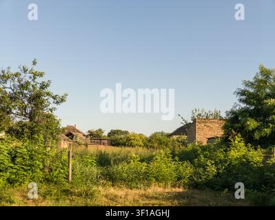 Pittoreske ländliche Landschaft eines überwucherten Hinterhofgrundstücks in einem Dorf, rustikale Aussicht auf das Land mit hohem grünem Gras und alten Backsteingebäuden. Stockfoto