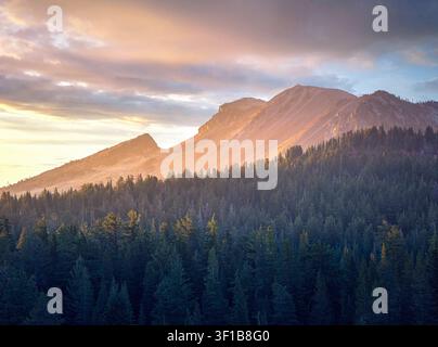Morgenlicht über schroffer Berglandschaft und Kiefernwald, das eine atmosphärische Wildnislandschaft mit warmem frühmorgendlichen Glanz zeigt Stockfoto