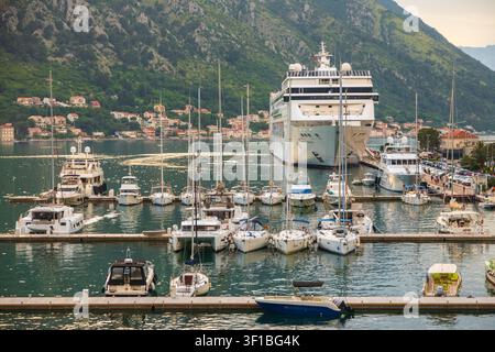 Kotor, Montenegro – 11. Juni 2023: Kreuzfahrtschiff, das mit vielen Yachten und Booten in einem belebten Yachthafen angelegt hat Stockfoto