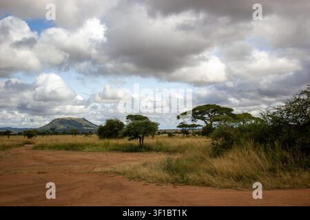 Serengeti-Morgen nach einem Heißluftballonflug, Tansania Stockfoto