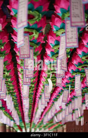 Niedrigwinkelaufnahme dichter Reihen von rosa Lotuslaternen mit hängenden Gebetstafeln im Bulguksa-Tempel. Stockfoto
