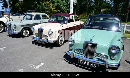 Drei Wolseley 1500 Mk1 Limousinen aus den 1950er Jahren. Stockfoto