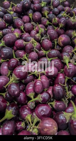 Eine Ladenauslage mit indischen oder thailändischen Auberginen. Stockfoto