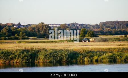 Ein Traktor sammelt und wälzt Heu auf einer Wiese am Fluss, mit Bäumen und Hügeln im Hintergrund, die in warmem Sonnenlicht baden. Erntezeit im Dorf Stockfoto