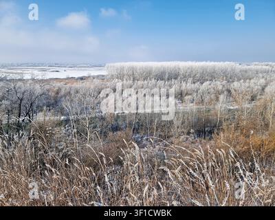 Eine weite Winterlandschaft zeigt frostbedeckte Bäume und ein gefrorenes Flusstal unter einem blassen Himmel. Getrocknete Unkräuter im Vordergrund wiegen sich sanft, ihre Stal… Stockfoto
