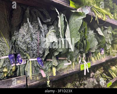 Miami, USA. 12. Juli 2026. Eine Vielzahl frischer Früchte und Gemüsesorten wird in der Obst- und Gemüseabteilung eines Lebensmittelladens in Miami, Florida, zum Verkauf angeboten. Saisonale Produkte bleiben eine beliebte Wahl unter Verbrauchern, die nach frischen Zutaten für alltägliche Mahlzeiten suchen. Foto von (Michele Eve Sandberg/Sipa USA) Credit: Sipa USA/Alamy Live News Stockfoto
