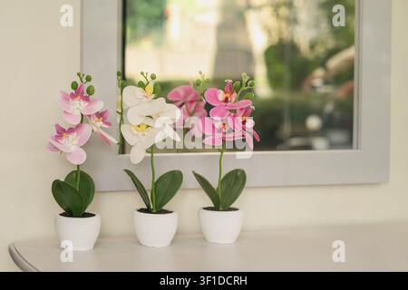 Drei dekorative Orchideenpflanzen mit rosa und weißen Blüten in kleinen weißen Töpfen in der Nähe eines Spiegels. Minimalistische florale Wohnraumdekoration in einem hellen modernen Interieur Stockfoto
